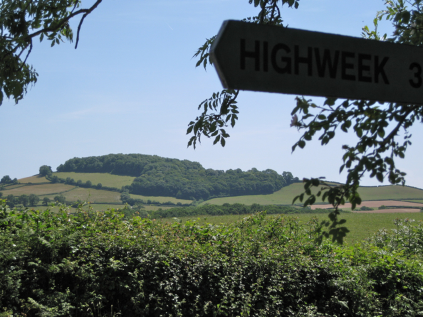 An image depicting the trail Greenhill Plantation, Oxenham's Wood and Denbury Camp Loop and its surrounding area.
