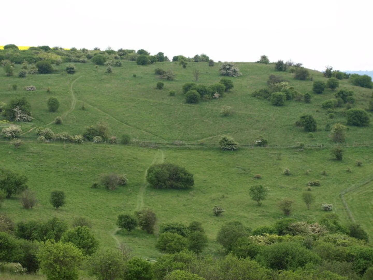 An image depicting the trail Luton Walk and its surrounding area.