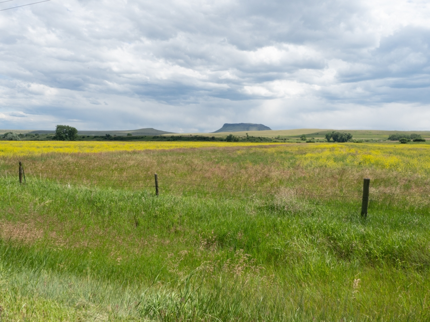 An image depicting the trail Dailey Pass via Buffalo Horn Trail and its surrounding area.