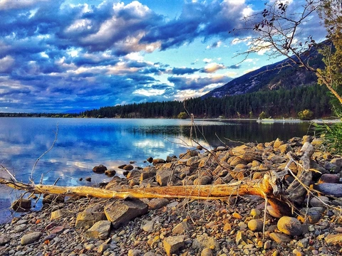 An image depicting the trail South Fork Hemler Creek Trail and its surrounding area.