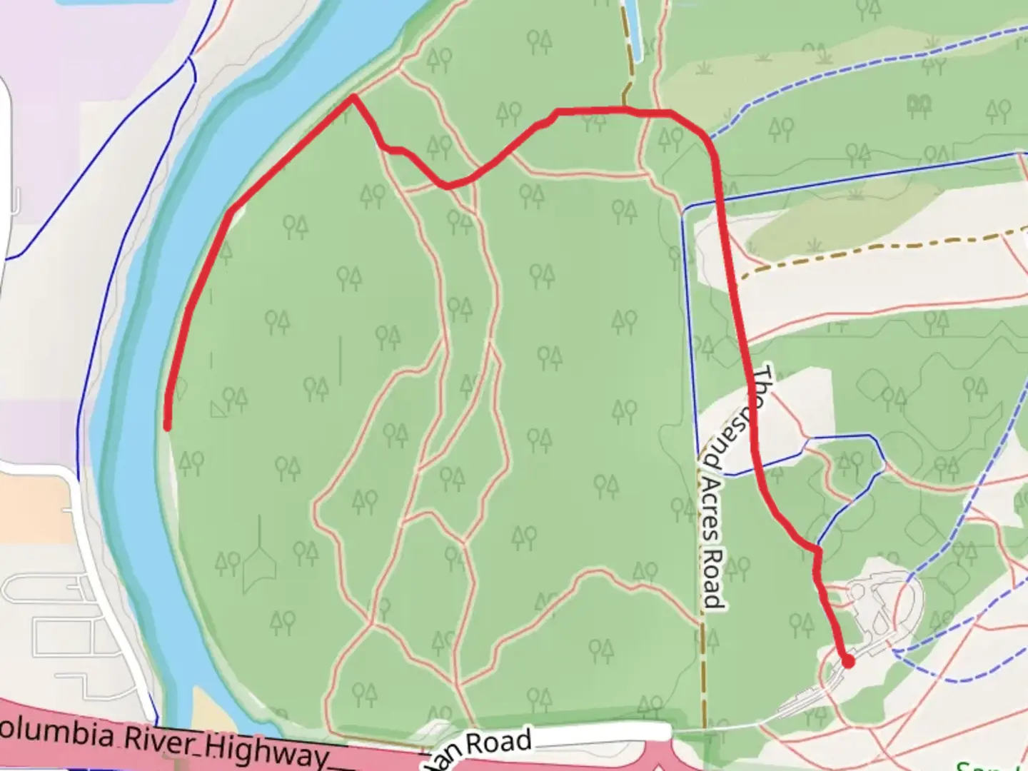 An image depicting the trail Sandy River - Old Channel Trail and its surrounding area.