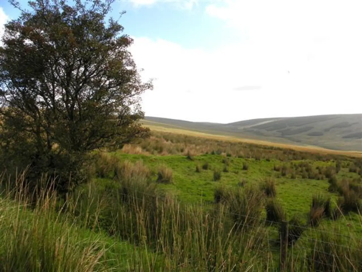 An image depicting the trail Carnanelly Mountain Walk from Tyrone and its surrounding area.