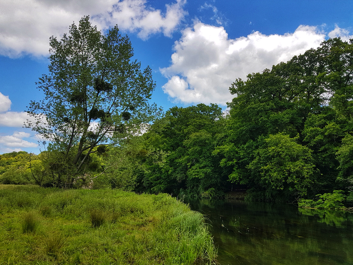 An image depicting the trail Hale and Woodgreen Walk and its surrounding area.