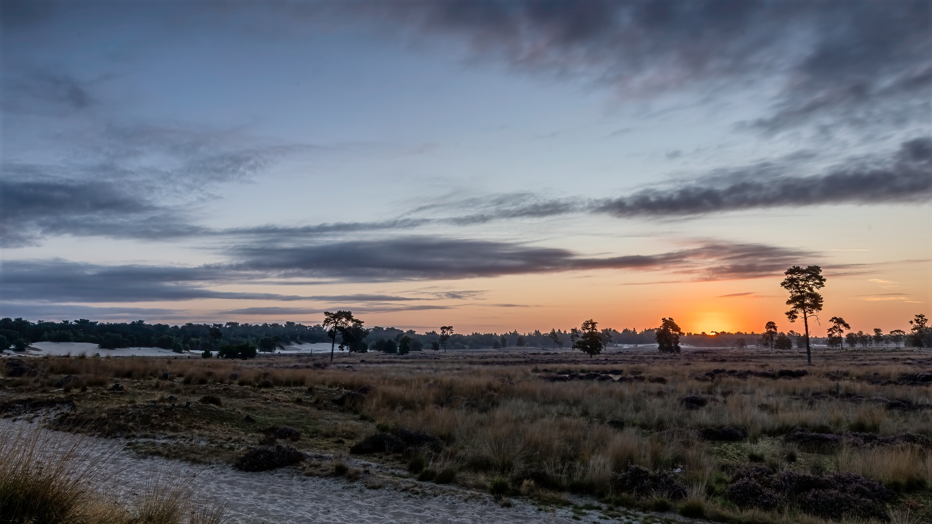 An image depicting the trail Nieuwkuijk to De Oost via Hertogenpad and its surrounding area.