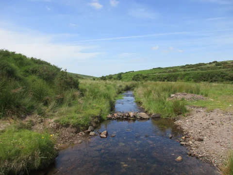 Clashganny Lock Loop