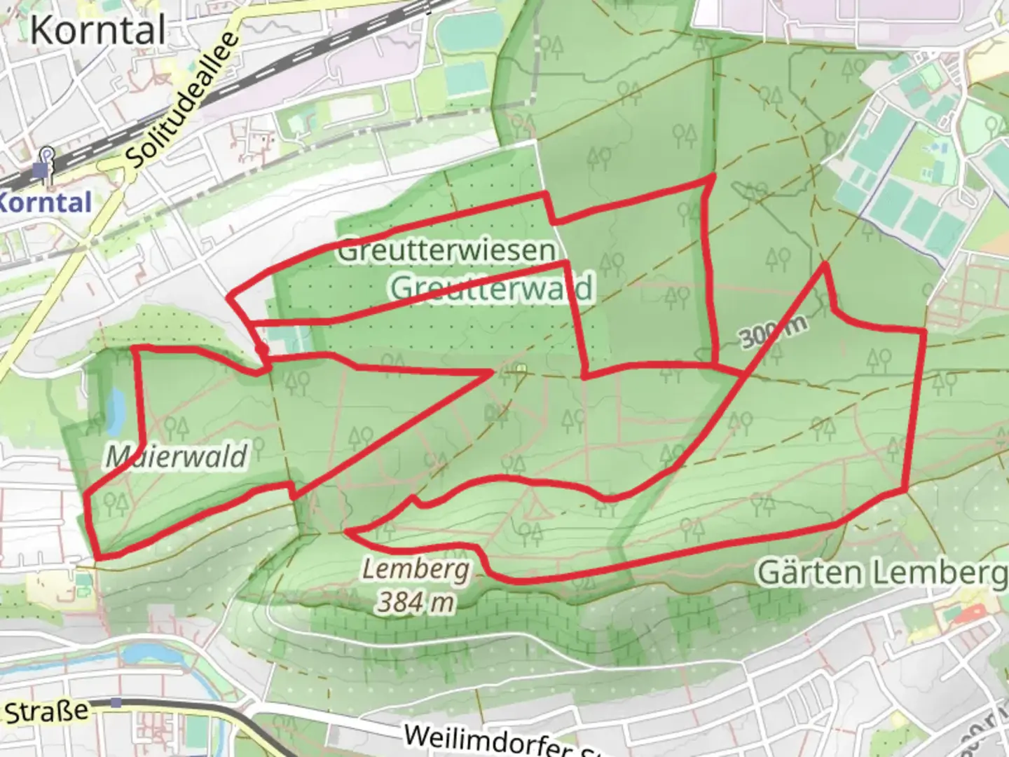 An image depicting the trail Gutterwald Loop and its surrounding area.