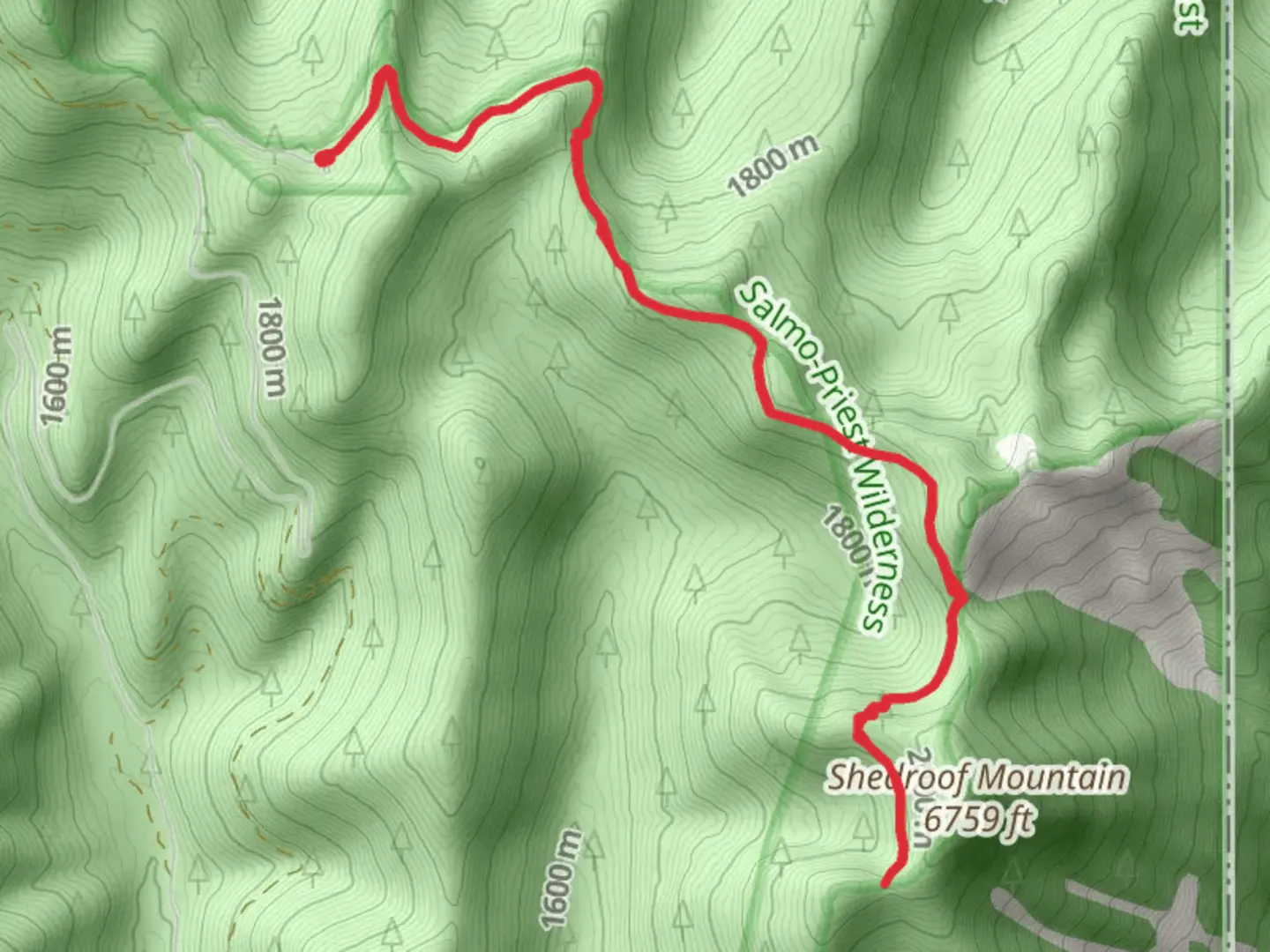 An image depicting the trail Walk towards Shedroof Mountain via Sullivan Salmo and its surrounding area.