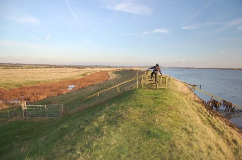 An image depicting the trail Bridgemarsh Marina Walk and its surrounding area.