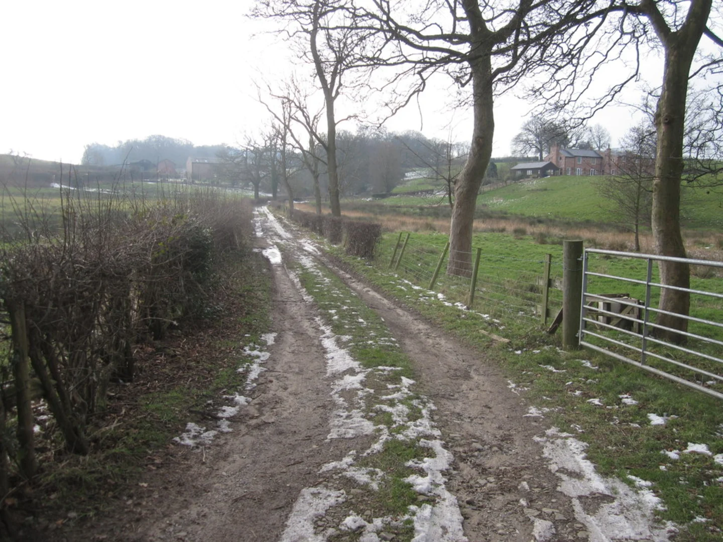 An image depicting the trail Mottram St Andrew Loop and its surrounding area.
