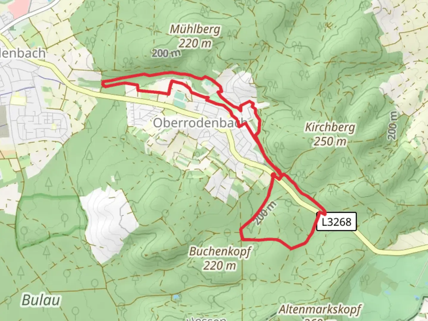 An image depicting the trail Rodenbach - Rundwanderweg Libelle and Eule and its surrounding area.
