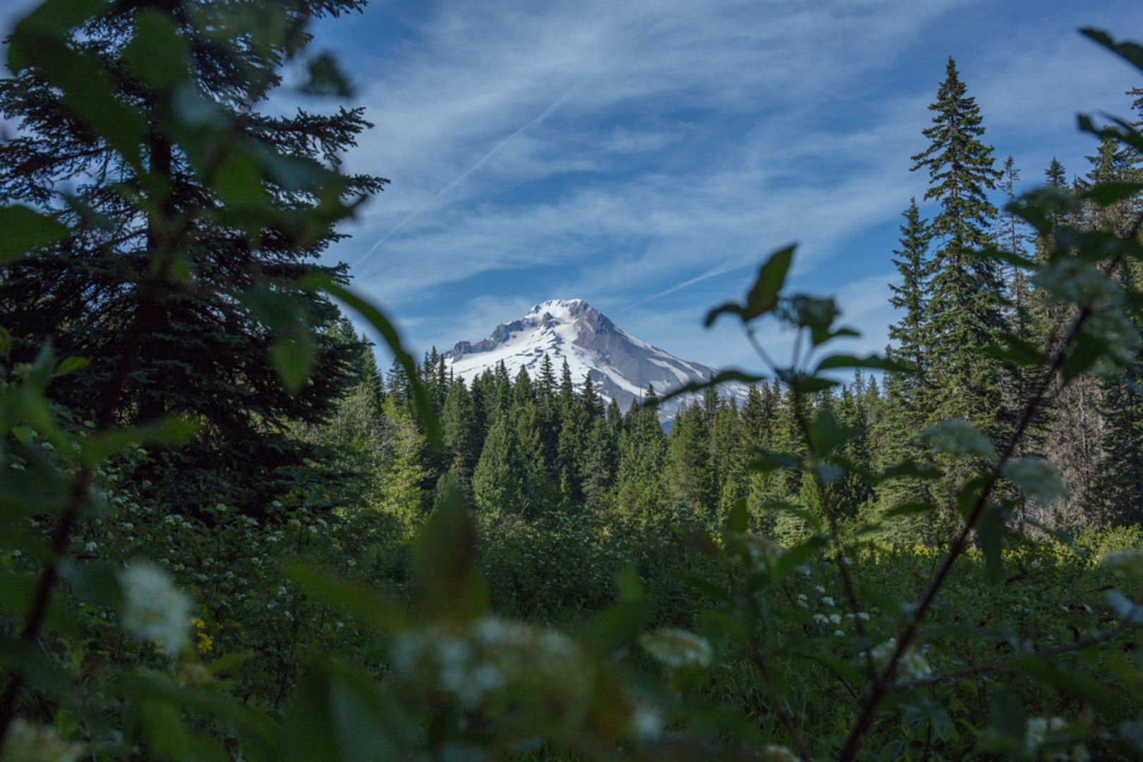 An image depicting the trail Hunchback Trail and its surrounding area.