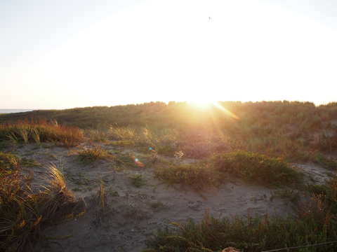Oost Weg, Vogelenveld, Starrenbroek and Paardenkerhof Loop