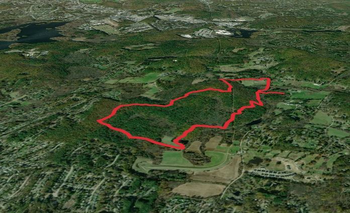 Eagle Pond and Packard Pond Loop