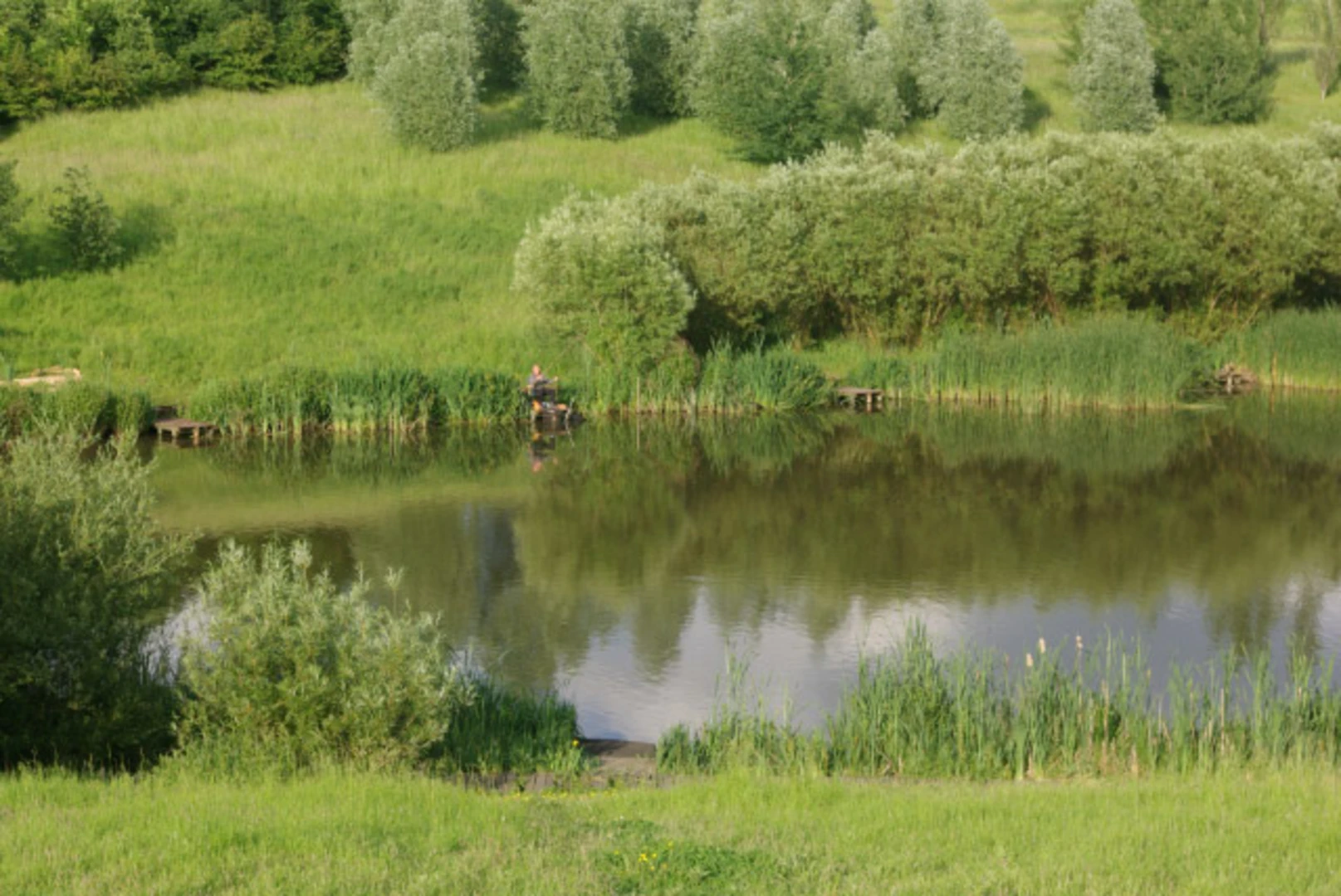An image depicting the trail Brackmills Wood Loop and its surrounding area.