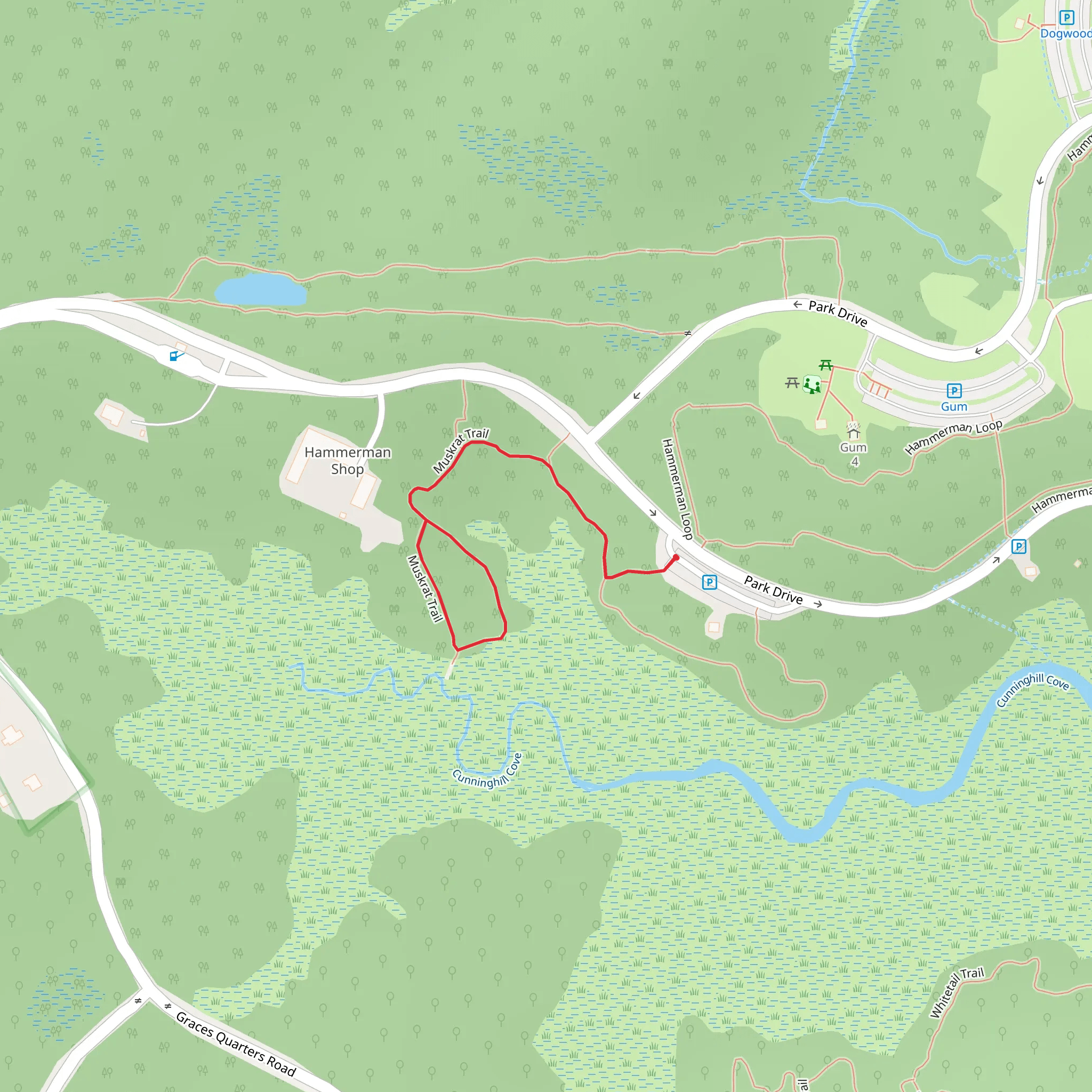 Muskrat Loop Trail mobile static map