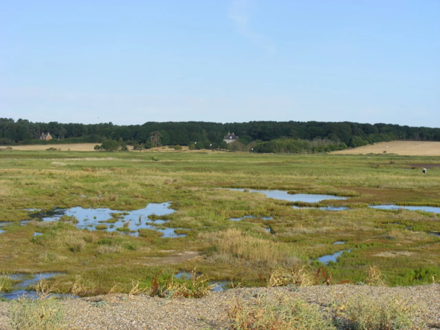 An image depicting the trail Dunwich Forest and Beach Loop and its surrounding area.