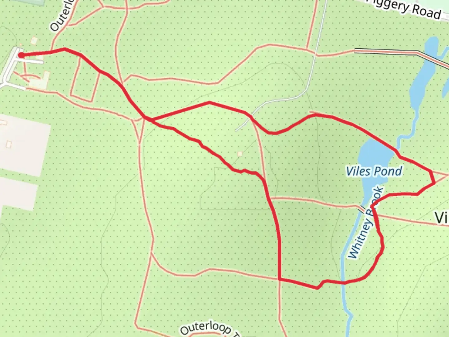 An image depicting the trail Viles Pond Loop Trail and its surrounding area.