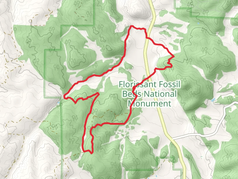 Hornbek Wildlie Loop Walk