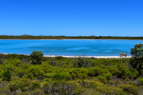 Lake Thetis Loop Trail