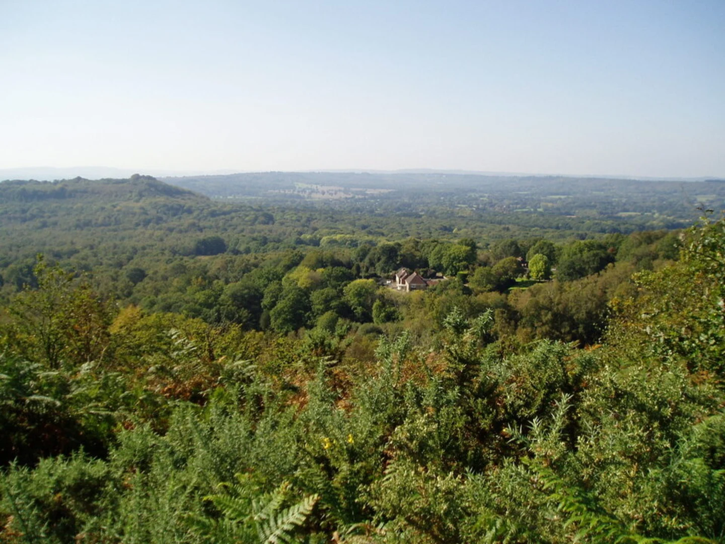 An image depicting the trail Woolbeding Common and its surrounding area.