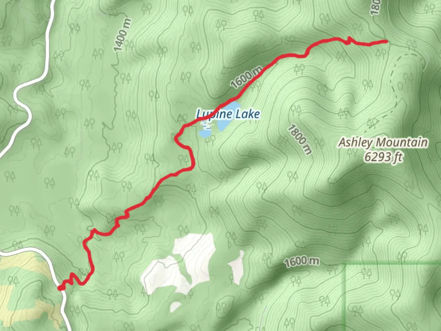 An image depicting the trail Lupine Lake Trail and its surrounding area.