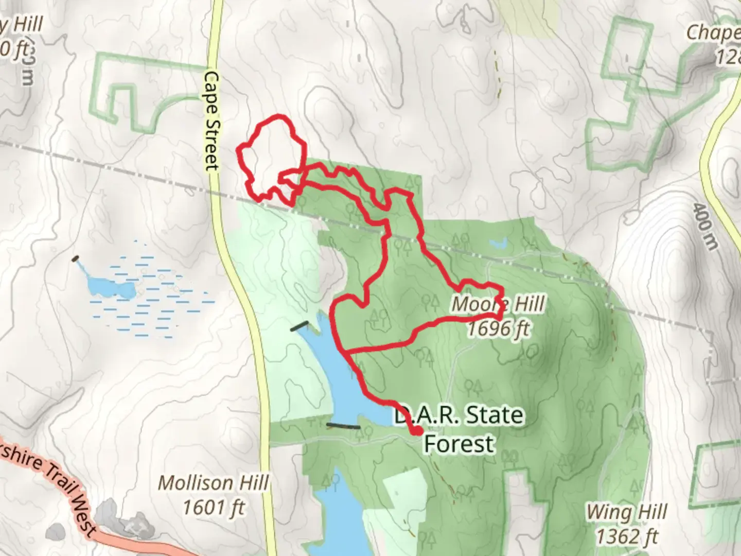 An image depicting the trail Moore Hill in DAR State Forest Loop and its surrounding area.