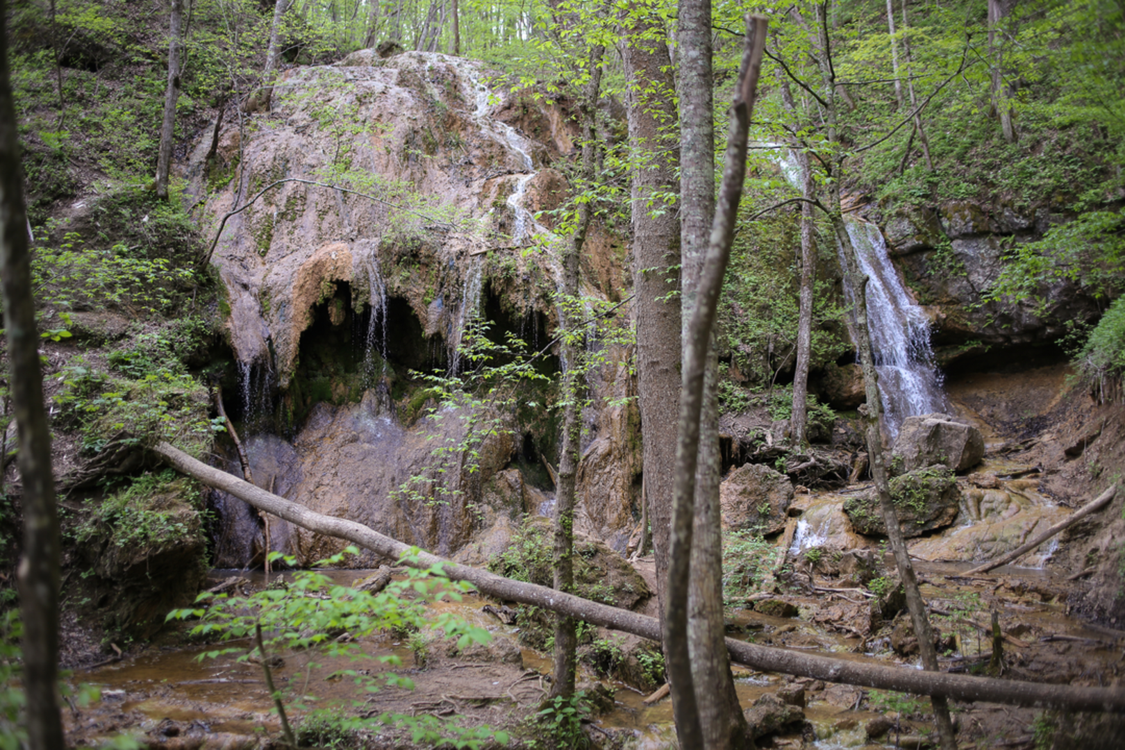 An image depicting the trail Fat Mountain Trail and its surrounding area.