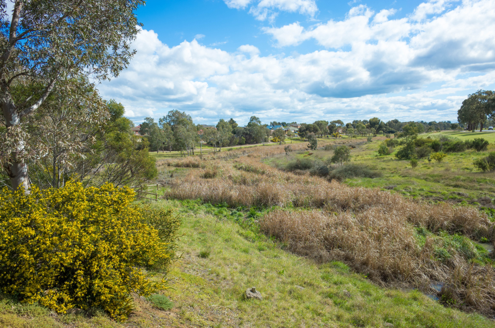 An image depicting the trail Skeleton Waterholes Creek Walk and its surrounding area.