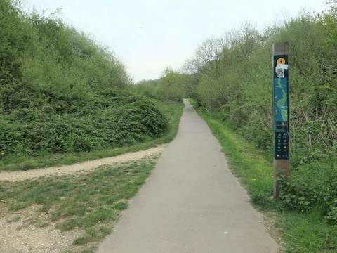 Miller's Pond Loop Walk