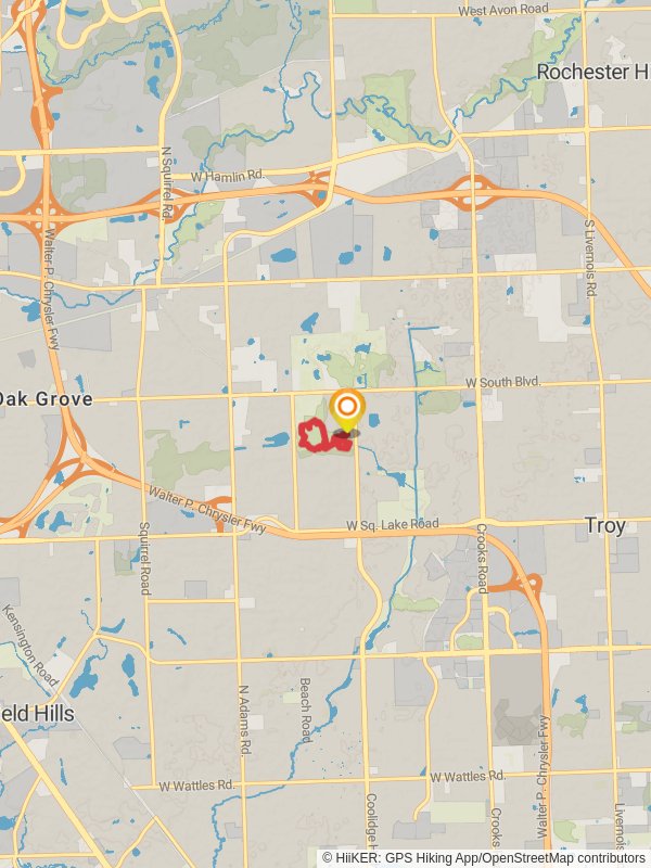 Blackbird and Sugar Maple Loop