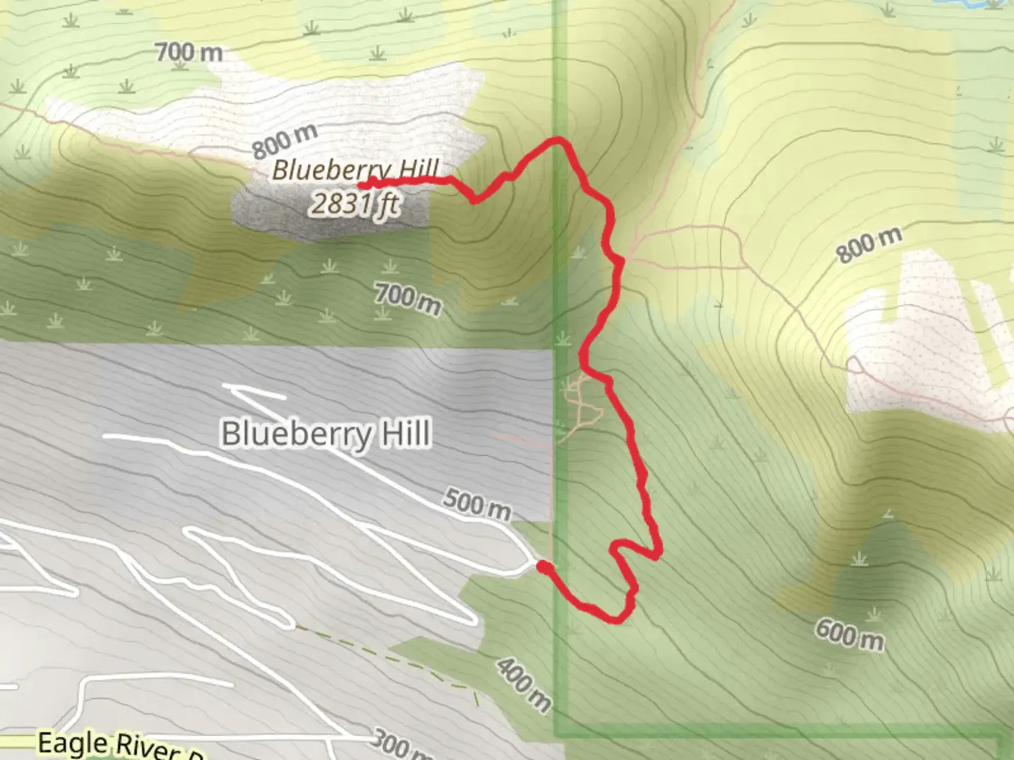 An image depicting the trail Blueberry Hill Trail and its surrounding area.