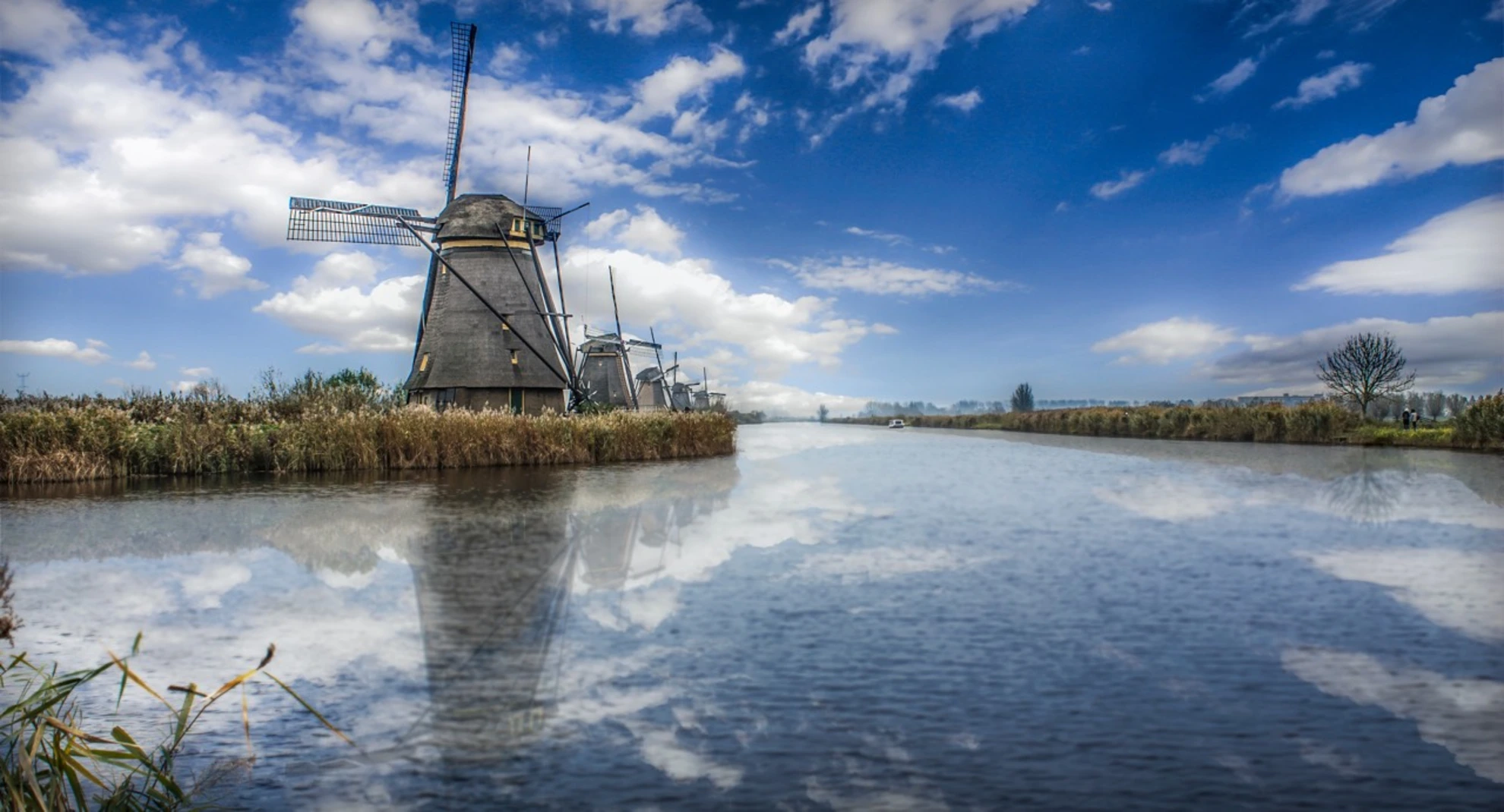 An image depicting the trail Waterliniepad and its surrounding area.