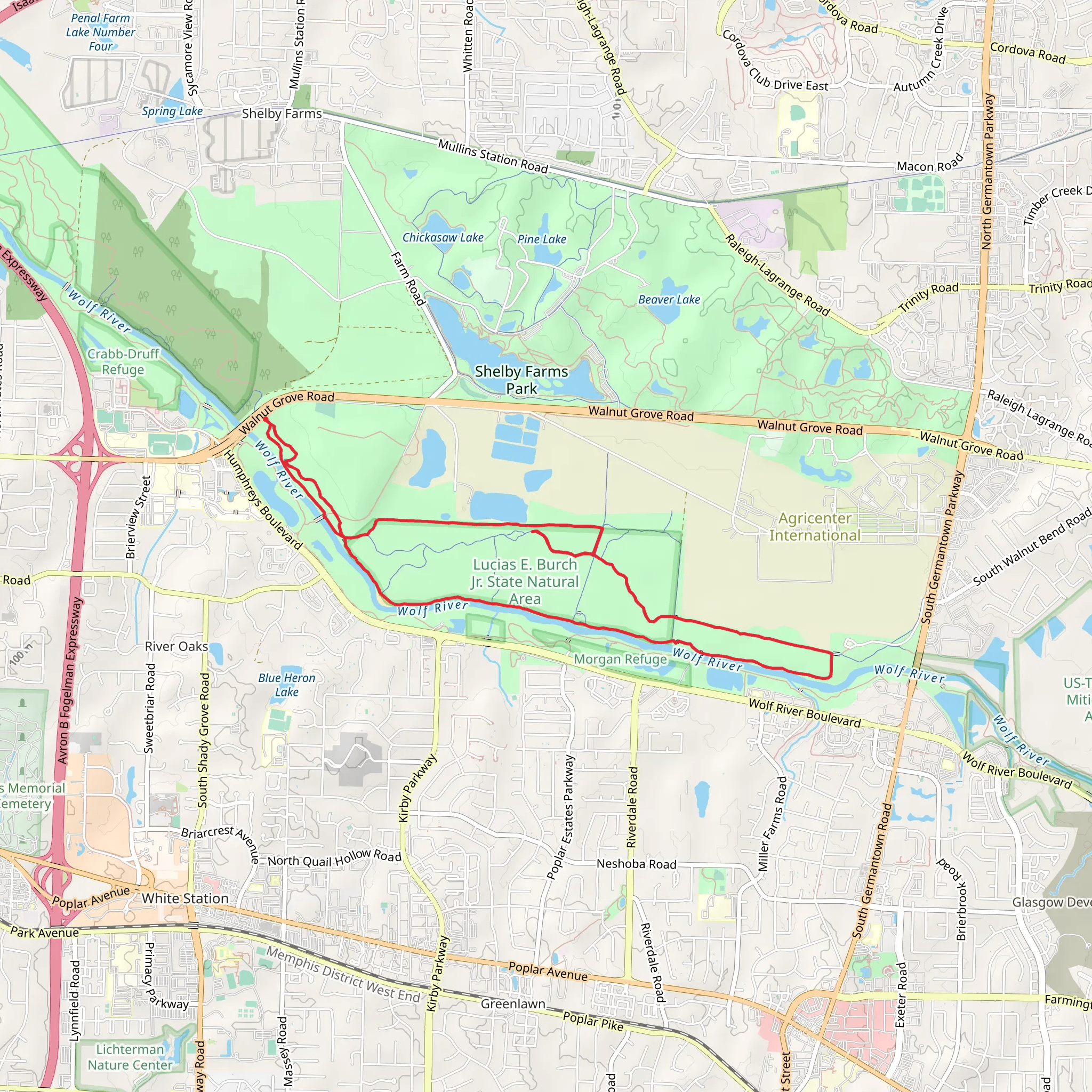 Wolf River Loop Trail - Yellow and Blue mobile static map