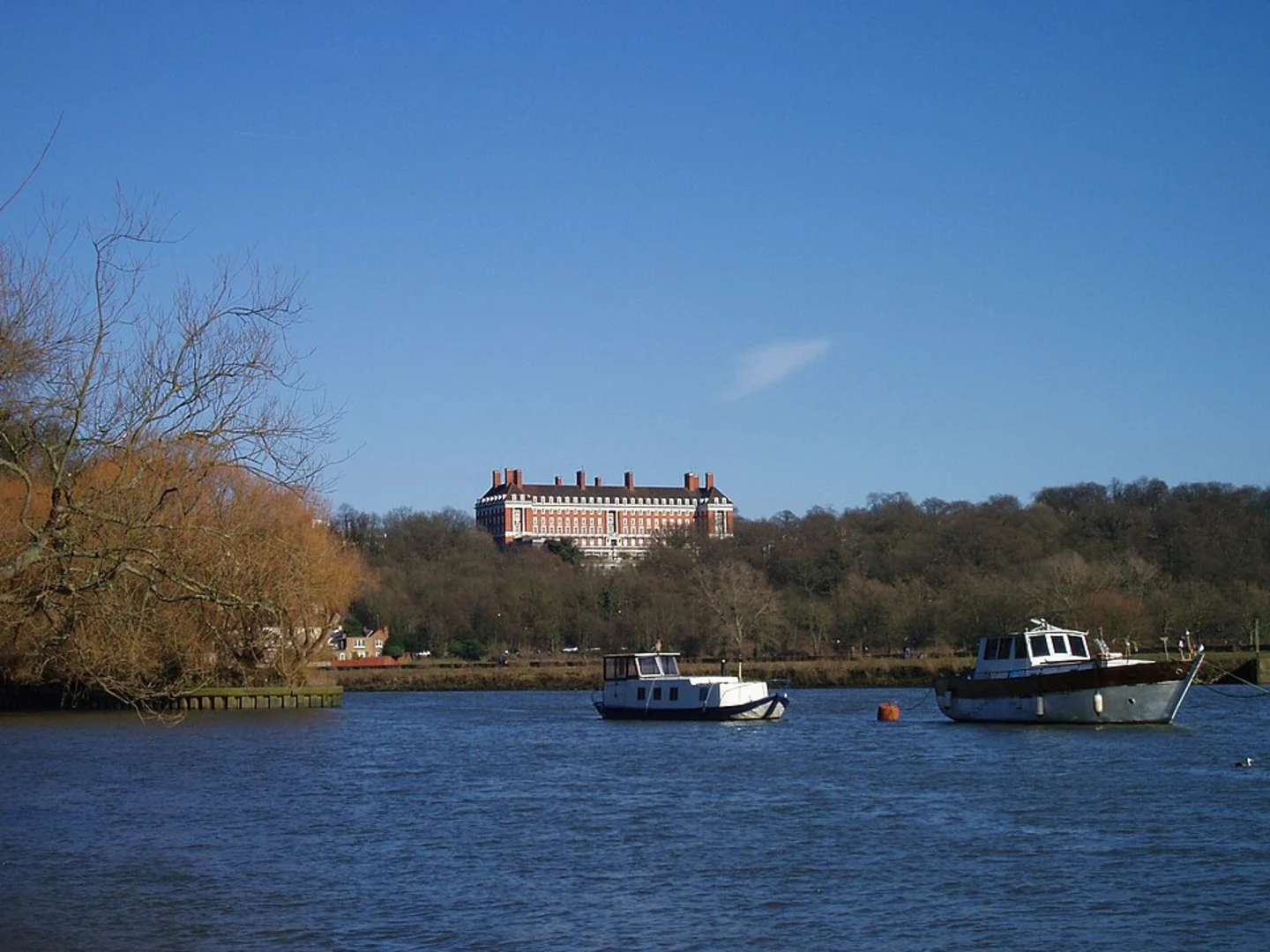An image depicting the trail Radnor Gardens, York House Gardens and Marble Hill Park Walk and its surrounding area.