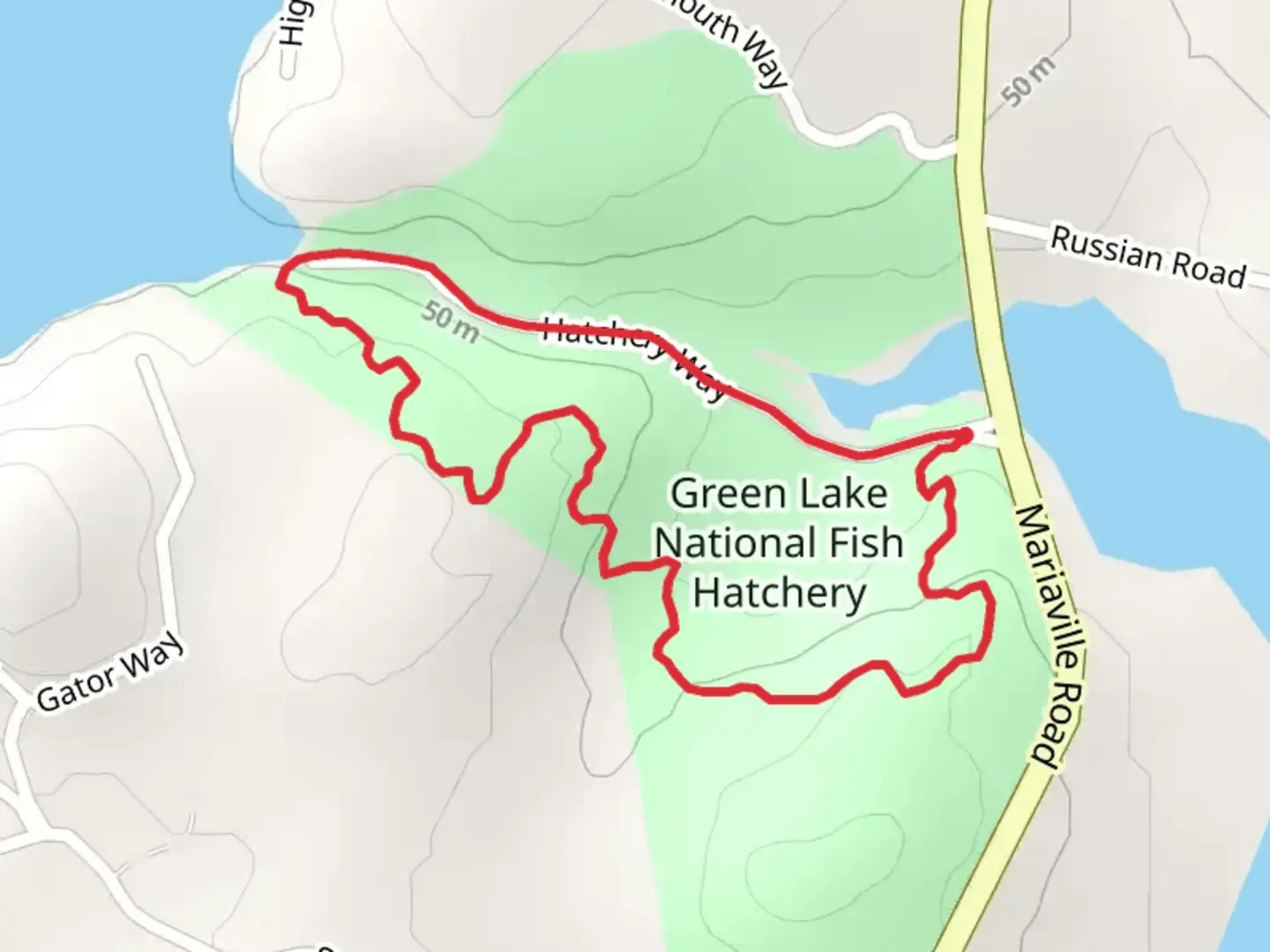 An image depicting the trail Reeds Brook Loop and its surrounding area.