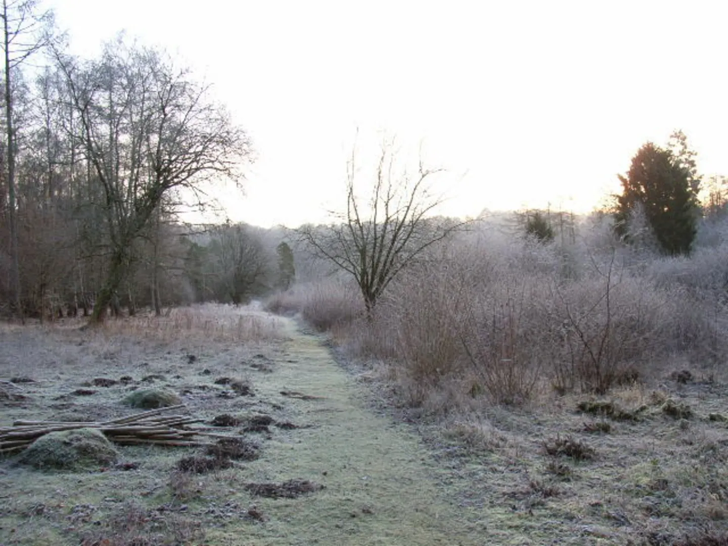 An image depicting the trail Warburg Nature Reserve Loop and its surrounding area.