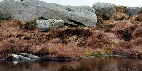 An image depicting the trail Sorrel Hill Gap to Carrigvore and its surrounding area.