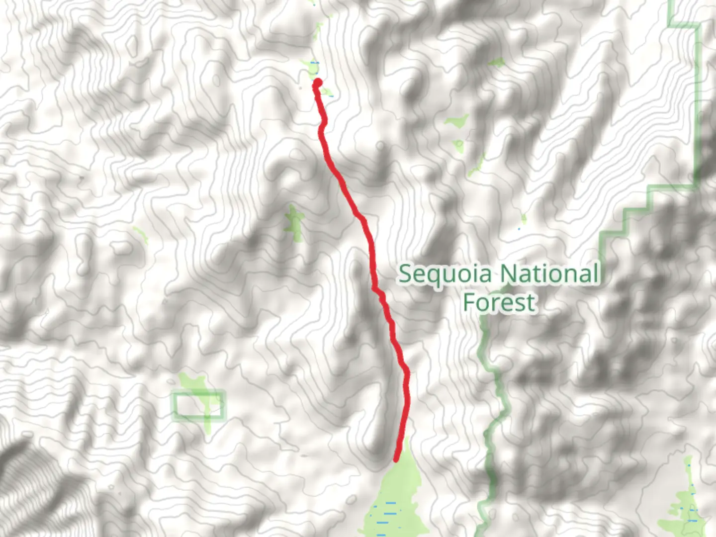 An image depicting the trail Cannell Meadow Trail Out and Back and its surrounding area.