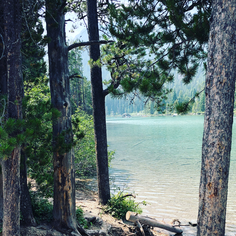 An image depicting the trail McKay Mountain Trail and its surrounding area.