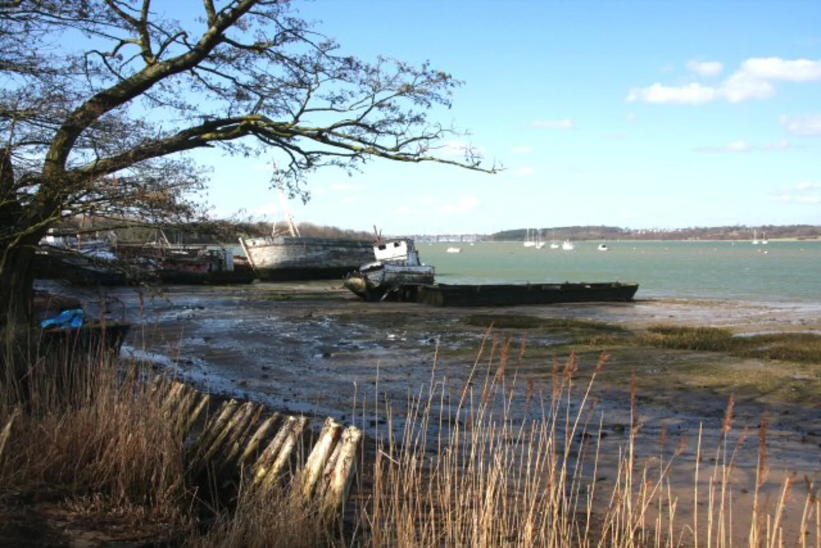 An image depicting the trail Pin Mill and River Orwell and its surrounding area.