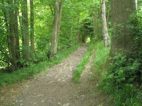 An image depicting the trail Steep Circular Walk and its surrounding area.
