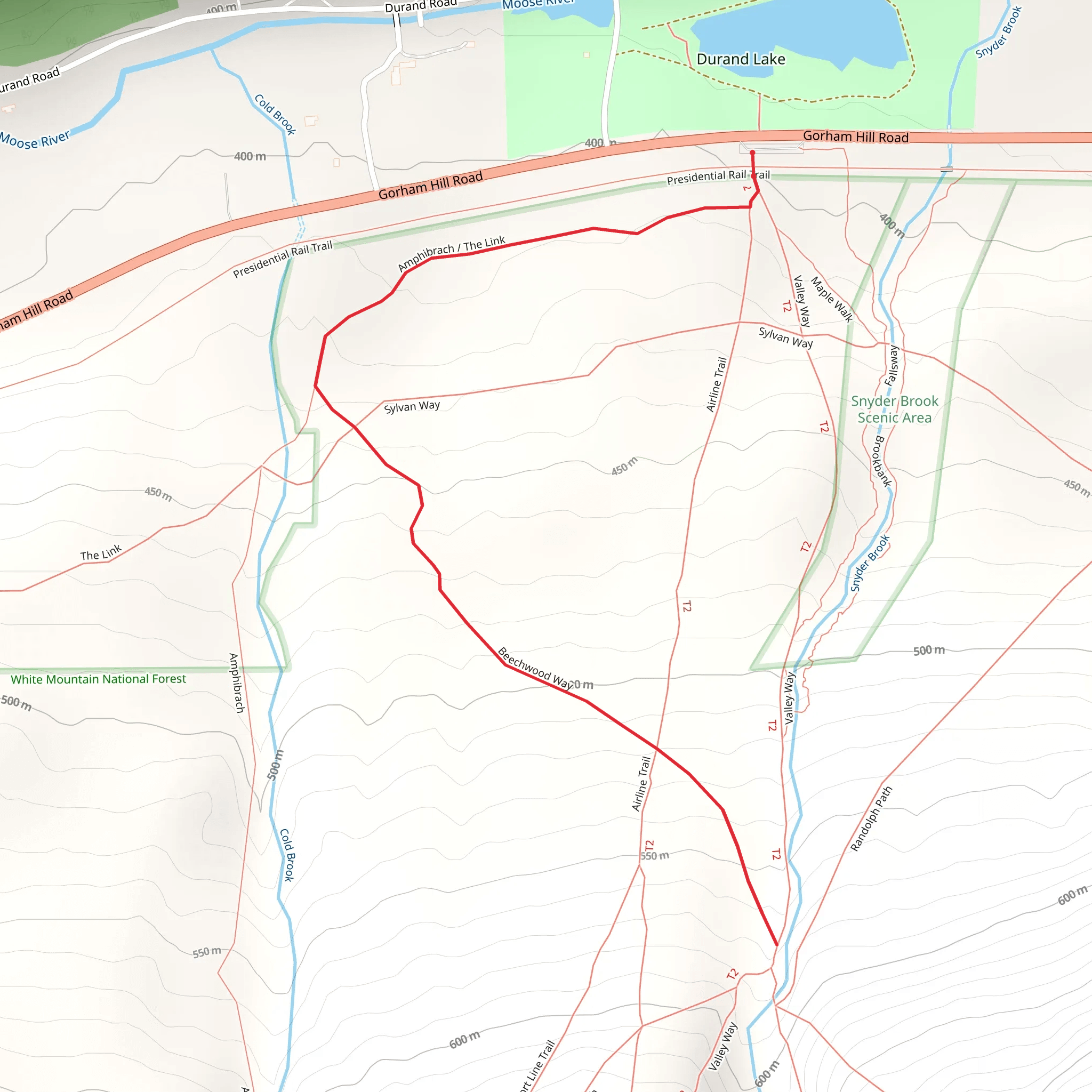 Beechwood Way Trail via Amphibrach Trail mobile static map