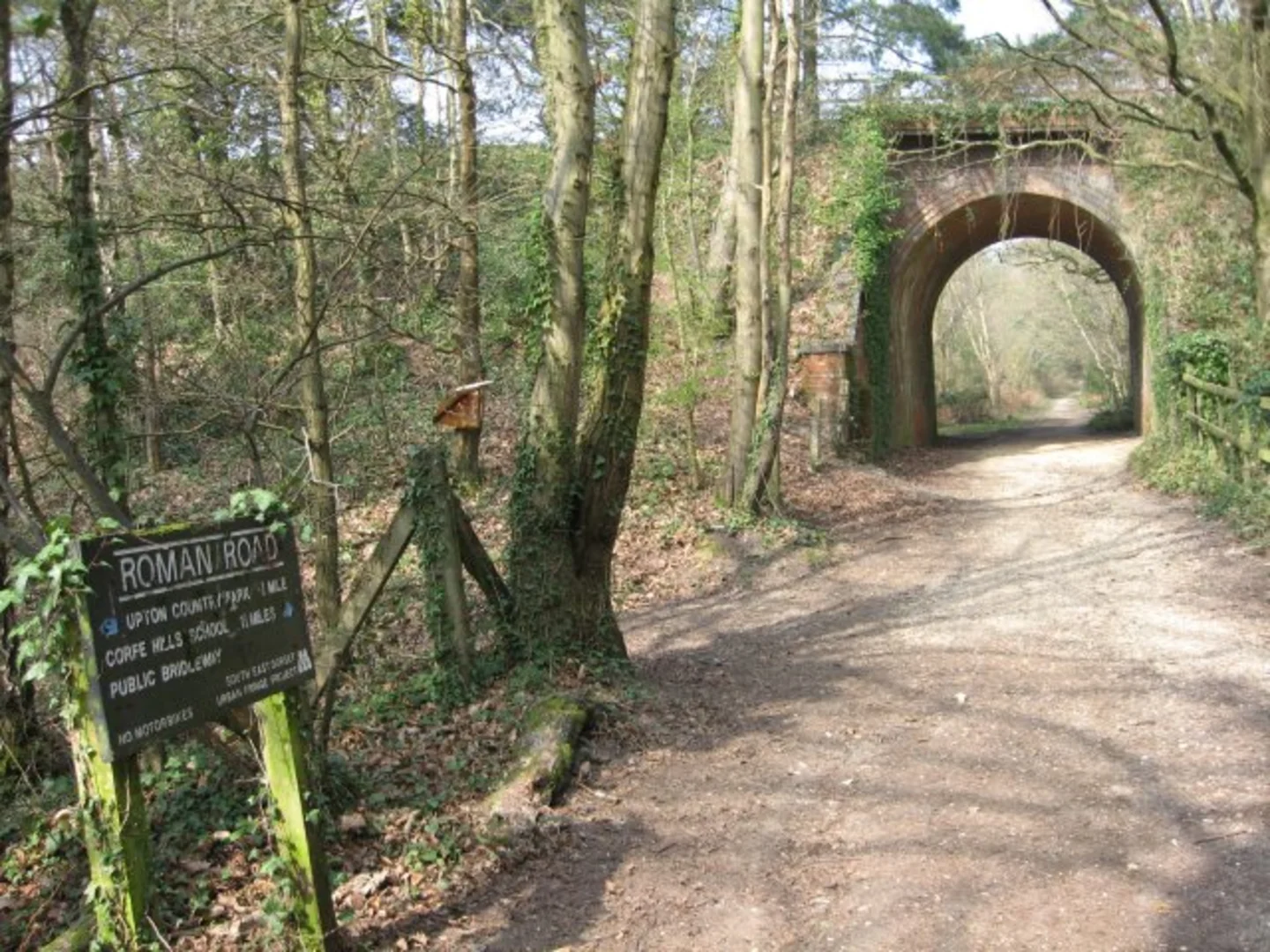 An image depicting the trail Upton Heath Nature Reserve Walk and its surrounding area.