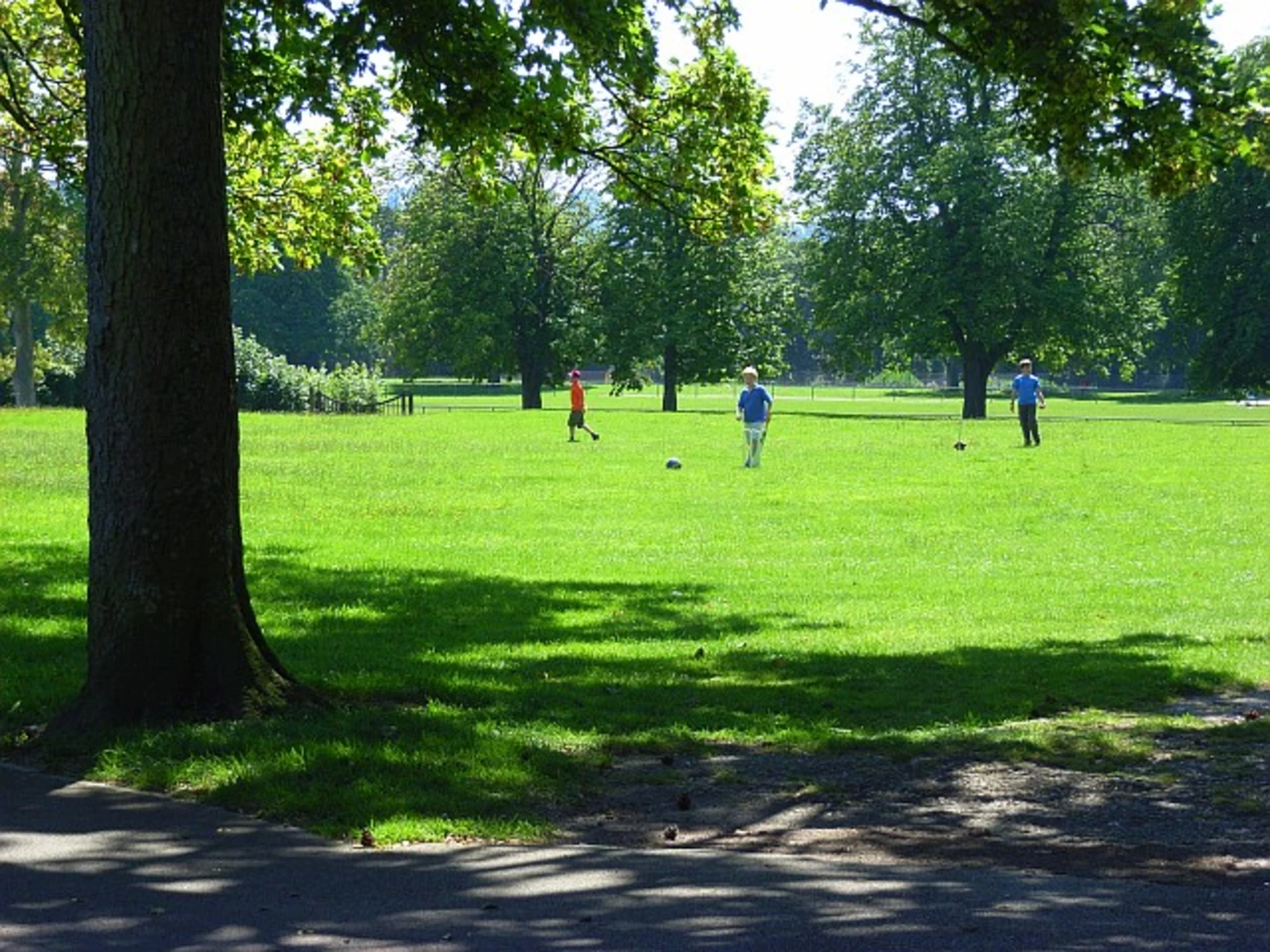 An image depicting the trail Victoria Park and Old Sarum Loop and its surrounding area.