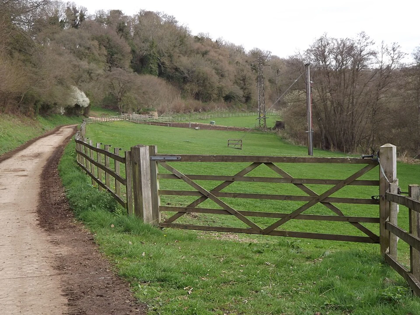 An image depicting the trail Shackleford, Hurtmore and Peper Harow Loop and its surrounding area.
