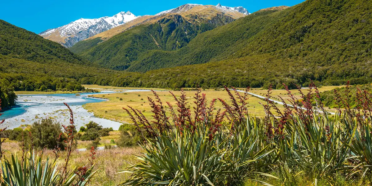 Cameron Valley Track