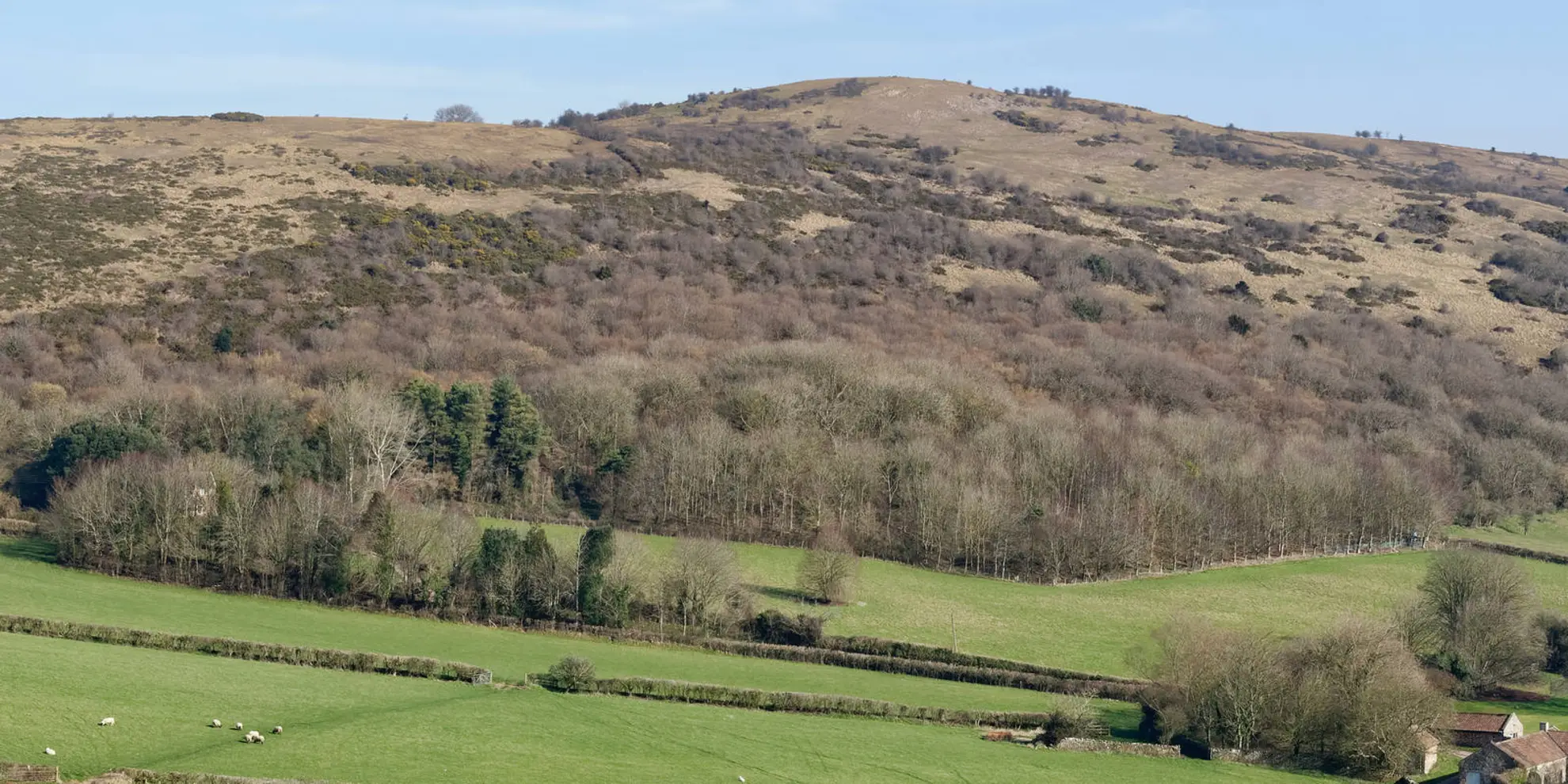 An image depicting the trail Wavering Down and Crook Peak from Kings Wood - Winscombe and its surrounding area.