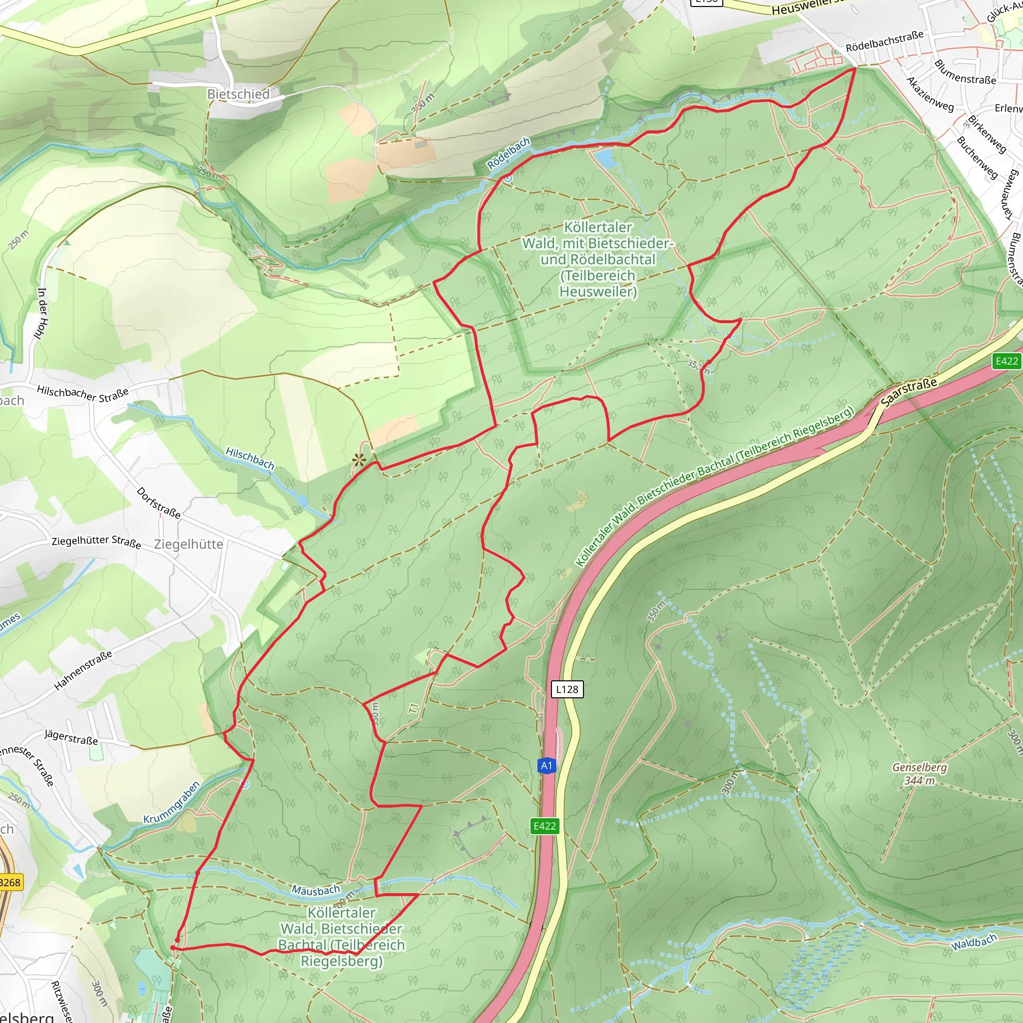 Frohn Wald Weg Loop mobile static map