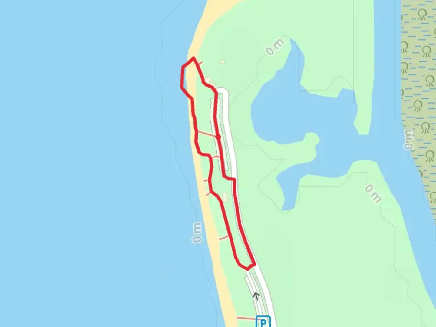 An image depicting the trail Bluebill Avenue Loop and its surrounding area.