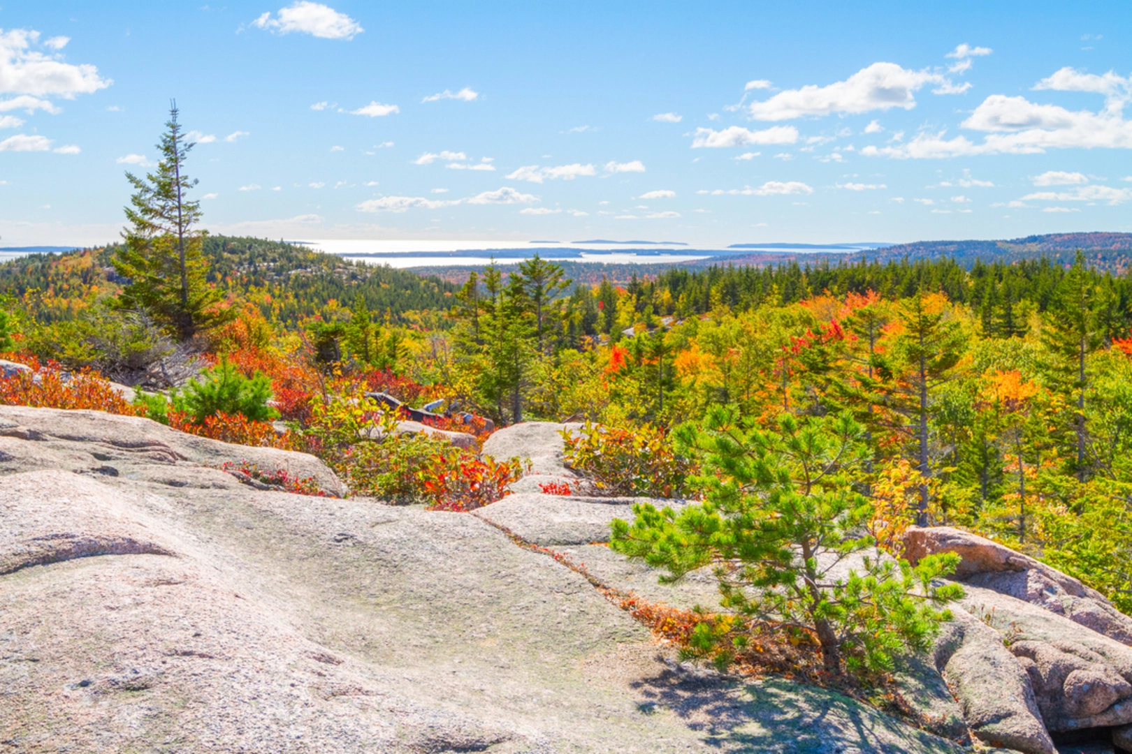 An image depicting the trail Day Mountain Trail from Champlain Road Out and Back and its surrounding area.